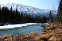Spring In Alaska
