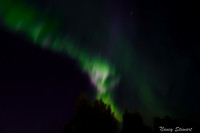 Northern Lights
