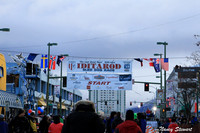 Iditarod 2015