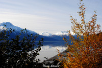 Fall In Alaska
