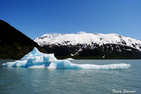 Summer In Alaska